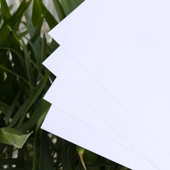 Water Resistant Personalized Cards Plastic PVC Sheet for Printing ID Gift Membership Cards Making